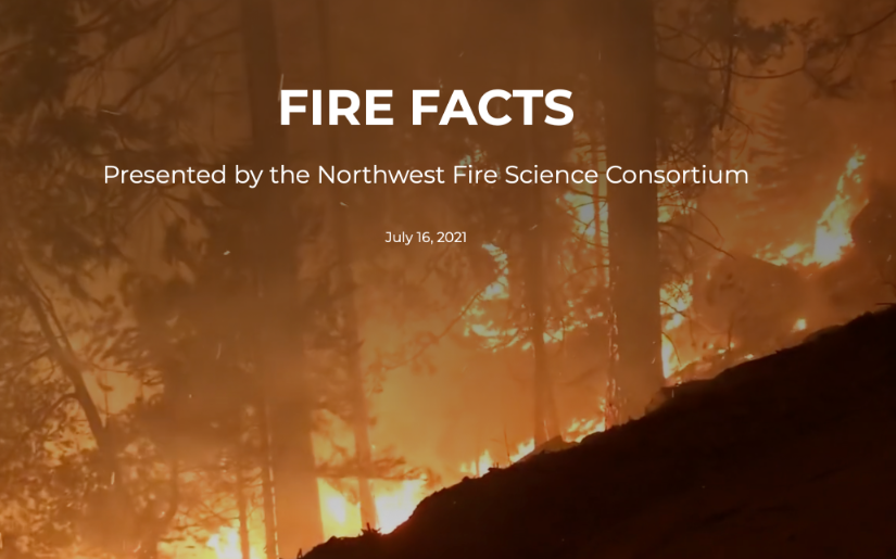 Story Map:  Fire Facts